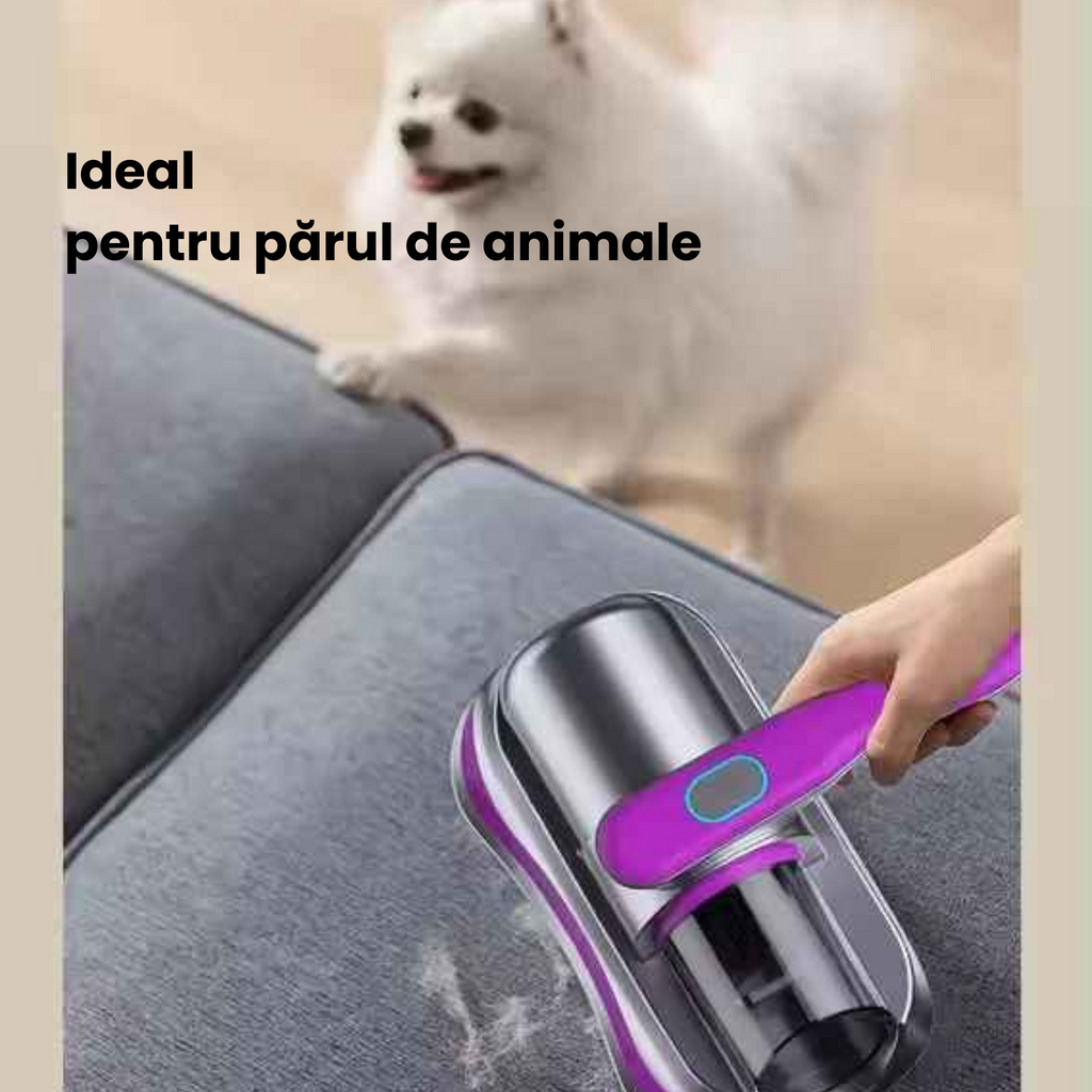 Aspirator Portabil Fără Fir